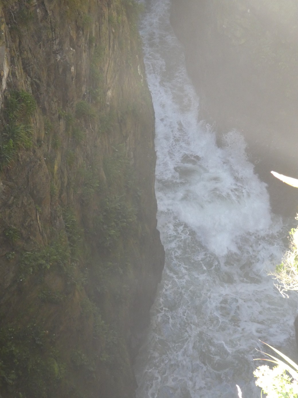Jacks Bay and Blowhole (8)