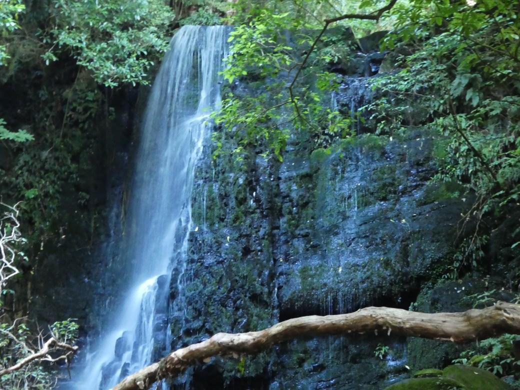 Matai Falls (2).JPG