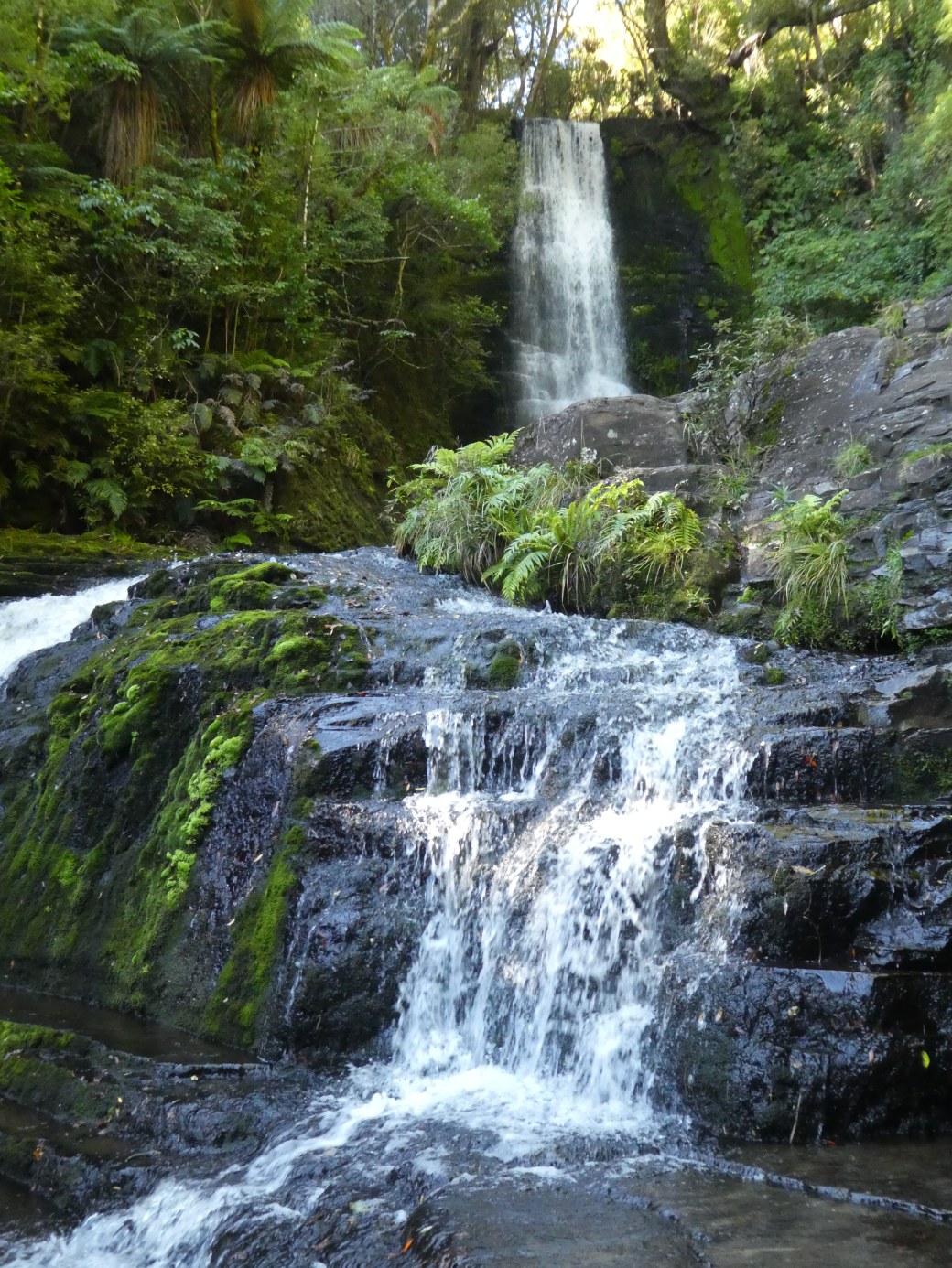 McLean Falls (14).JPG